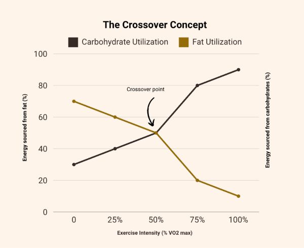 crossover concept diagram