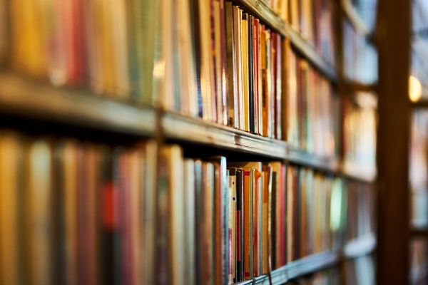 history degree books on shelves
