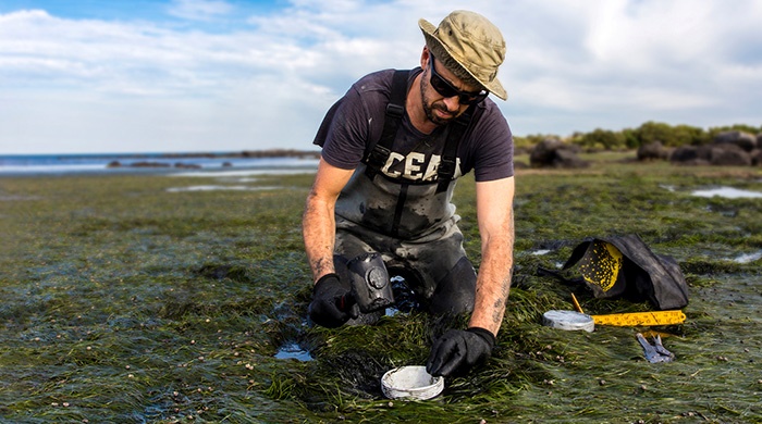 Man on the ground inspecting the grass