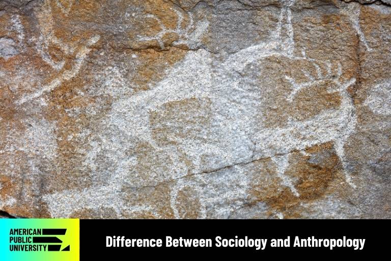 anthropology animals on rock