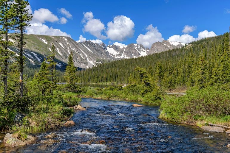 stream in wilderness