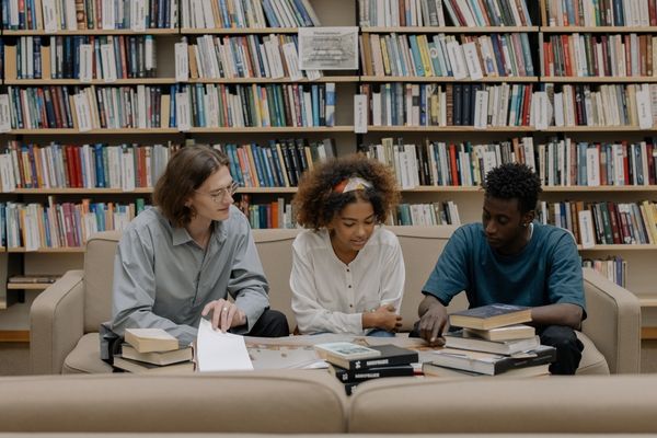 master's in sociology students in library