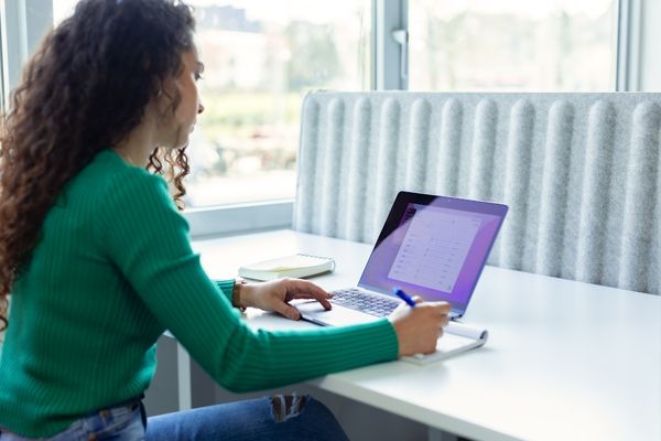 masters in management student on laptop