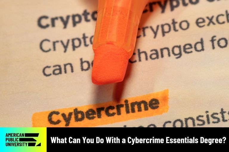 what-can-you-do-with-a-cybercrime-essentials-degree cybercrime highlighted in textbook