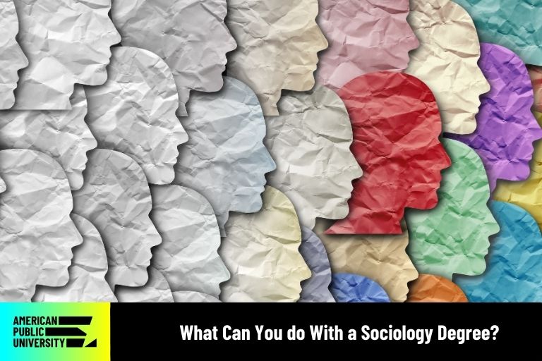 what-can-you-do-with-a-sociology-degree sociology degree icon