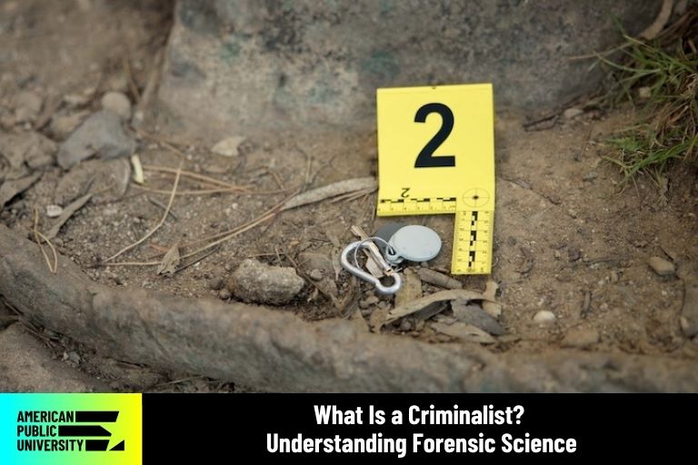 crime scene with evidence marker number 2 next to keys in dirt