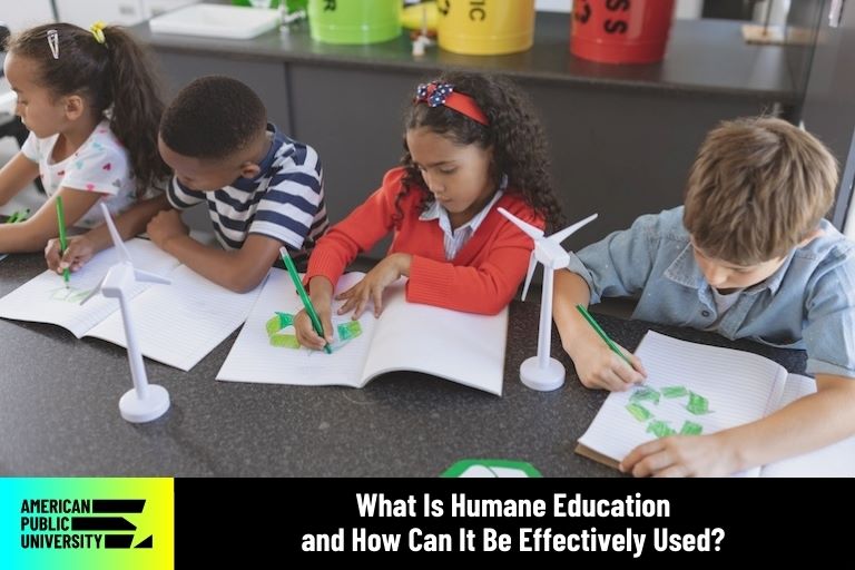 humane education students drawing at table