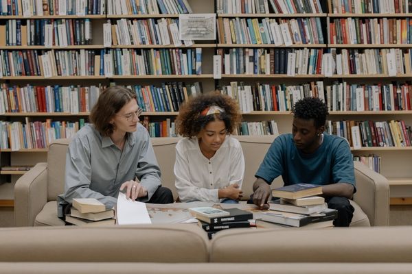 interdisciplinary studies students in library