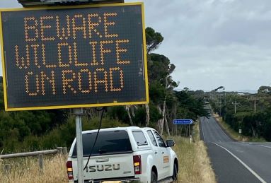 wildlife on road sign