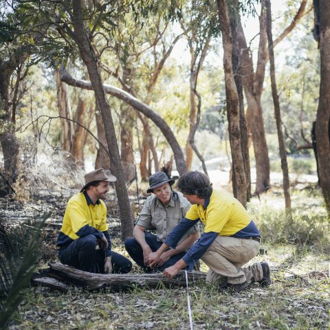 Environmental Science, Bachelor of Science